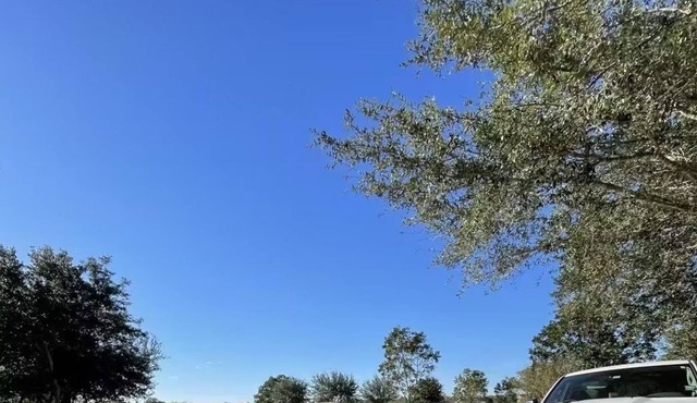 Big Villa with swimming pool in Rosharon