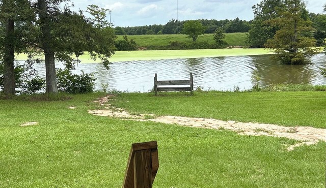 Bonne Idee Landing - New Bayou-Front Cabin Retreat
