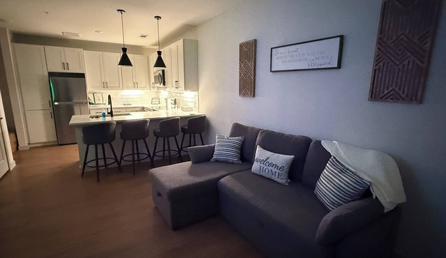 Chic Luxury Lakefront 1-bedroom apartment with AC, WiFi in Pflugerville