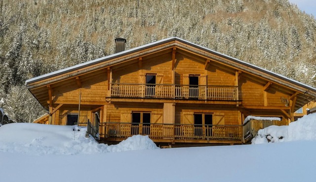COMFORTABLE CHALET IN THE HEART OF THE BAUFORTAIN in Villard-sur-Doron