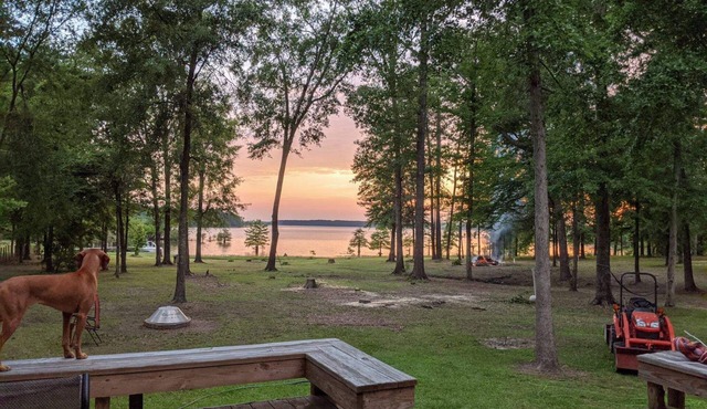 Cool Breez Waterfront Getaway!