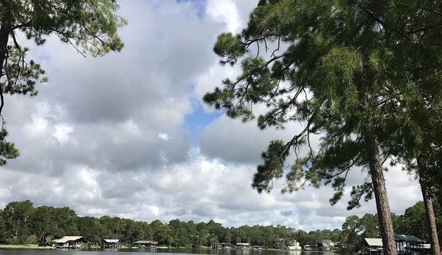 Cottage at Palmetto Creek