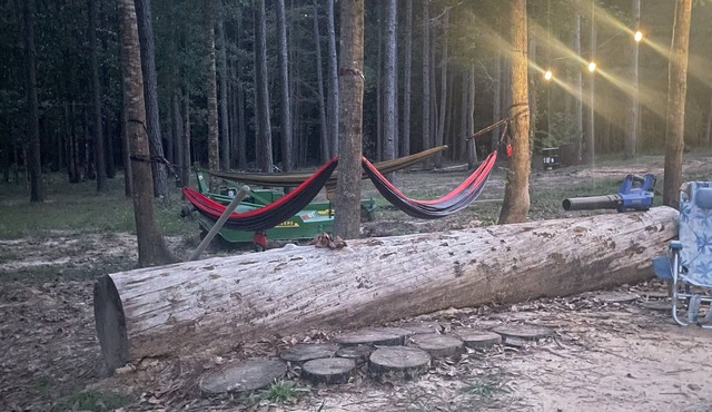 Cozy 1-bedroom cabin in beautiful Jasper with AC for relaxing stays