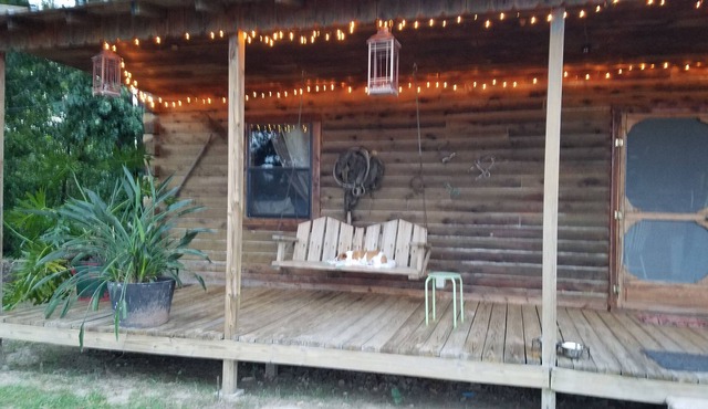 Cozy 2 rm pet friendly cabin- private lake - fishing & swimming - CowboyCabin
