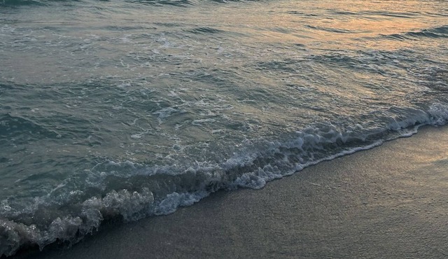 Cozy beach retreat! Walk 2 minutes to the Gulf of Mexico! Quiet, kind neighbors!
