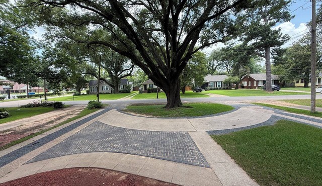 Cozy Sunny Broadmoor Condo under Live Oaks Inside a Secure Courtyard