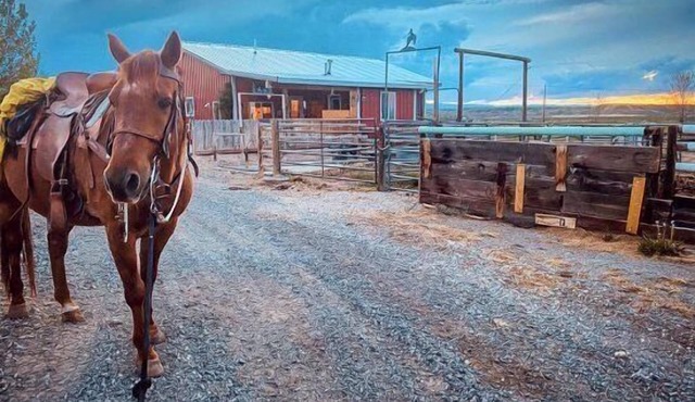 Heart Strings Ranch- Views of Heart Mountain & Near Horses! in Cody