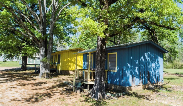 Lake O' The Pines Cabin #1 in Avinger