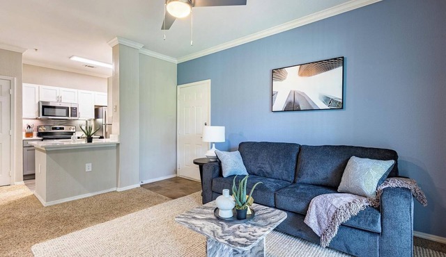 Landing | Amazing 1BD, Gym