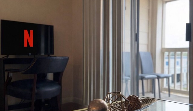 Lovely Condo by NRG Stadium & Medical Center