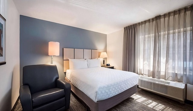 Pleasant and Comfortable Stay! Pet-Friendly, Close to Dallas-Fort Worth Airport in Irving
