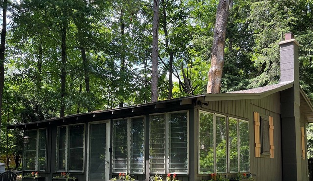 Rustic cottage in the woods close to town. in Pentwater