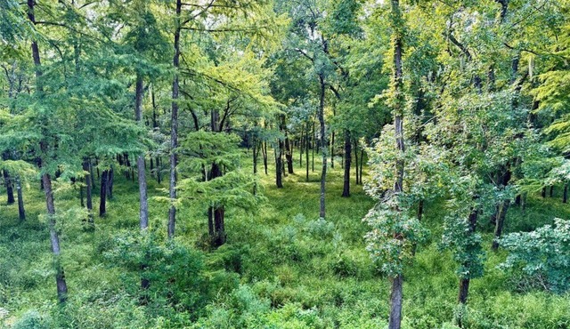 Sky Dreams Ranch, 46-Acre Riverfront Lodge, Sleeps 14