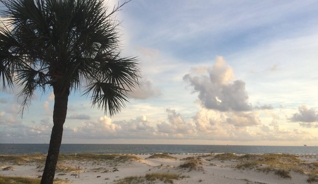 Spectacular Gulf Front View!