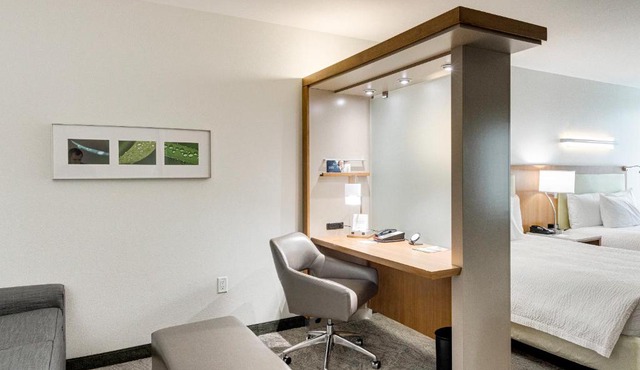 SpringHill Suites by Marriott Houston The Woodlands