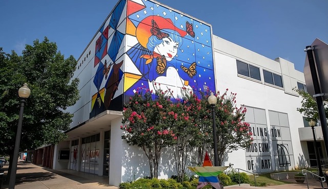 Stay Close to Arlington Museum of Art! 2 Pet-friendly Suites with Full Kitchens!