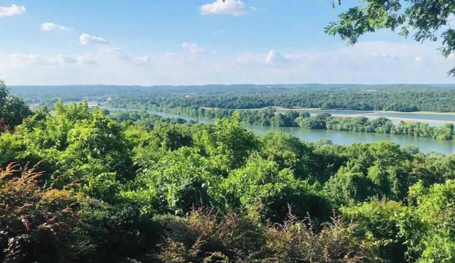 The View in Batesville