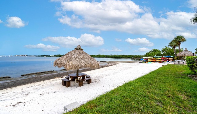 Upscale Condo, Private beach, overlooking ocean, pool, Gated community