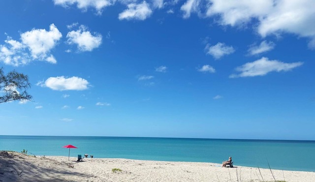 Venice Villas 1BR – Secluded Lanai & Pool