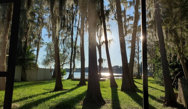 Waterfront great views large 1 bedroom studio apartment close to Moffitt, Tampa.