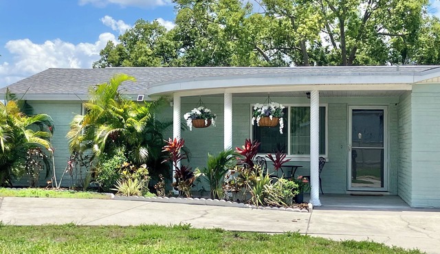 Waterfront near Tarpon Springs