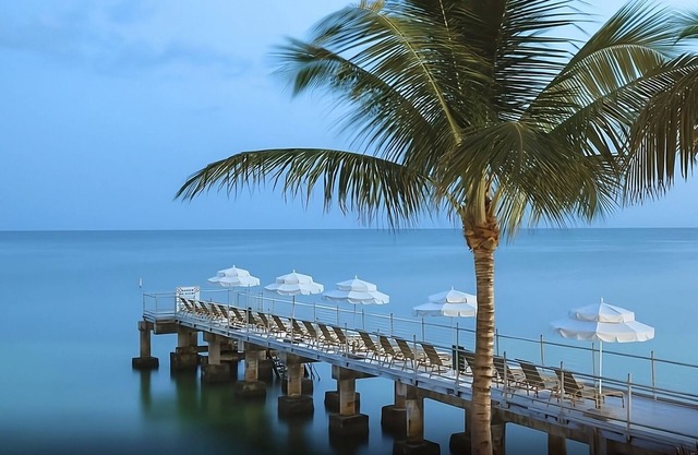 Authentic Florida Experience! 3 Modern Units, Oceanfront Pool, Beach Access!
