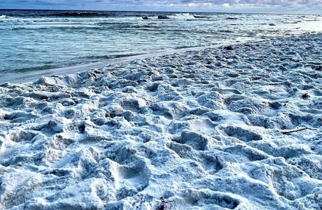 #BeachLife - Unit A&C Getaway (Sleeps 24)