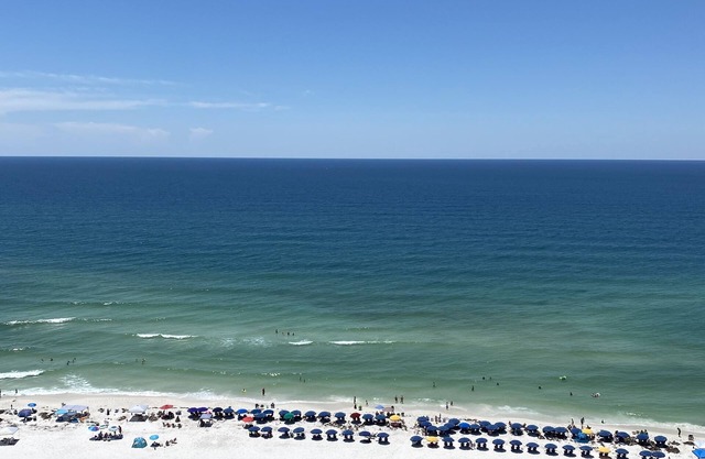 "Luxurious Gulf-Front Condo" Watch the Dolphins Play from Your Private Balcony