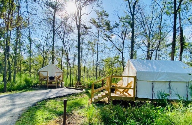 Tentrr - Louisiana Tickfaw State Park - Woodland D - Double Camp