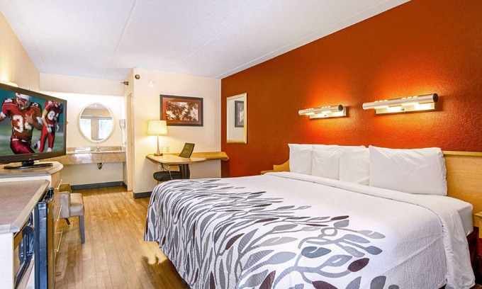 Ferry Pass Hotel | 26 m² Hotel ∙ 4 guests