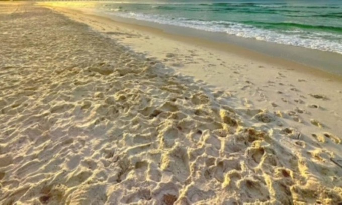 Bid-a-wee Beach House | BEACH HOUSE! 🏄♀️🏝☀️🐬