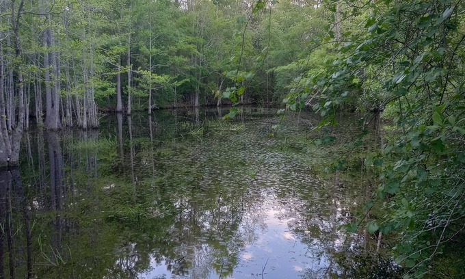 Graceville RV Rental | Private camping near Panama City and Panama City Beach. Includes a fire pit π₯