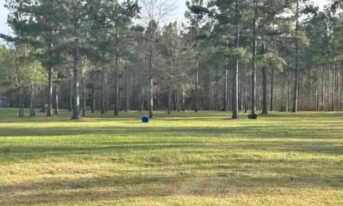Forest Home RV Rental | Stock Law Gap Campground