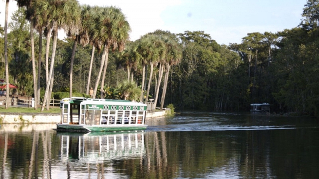 Photo of Others in Ocala