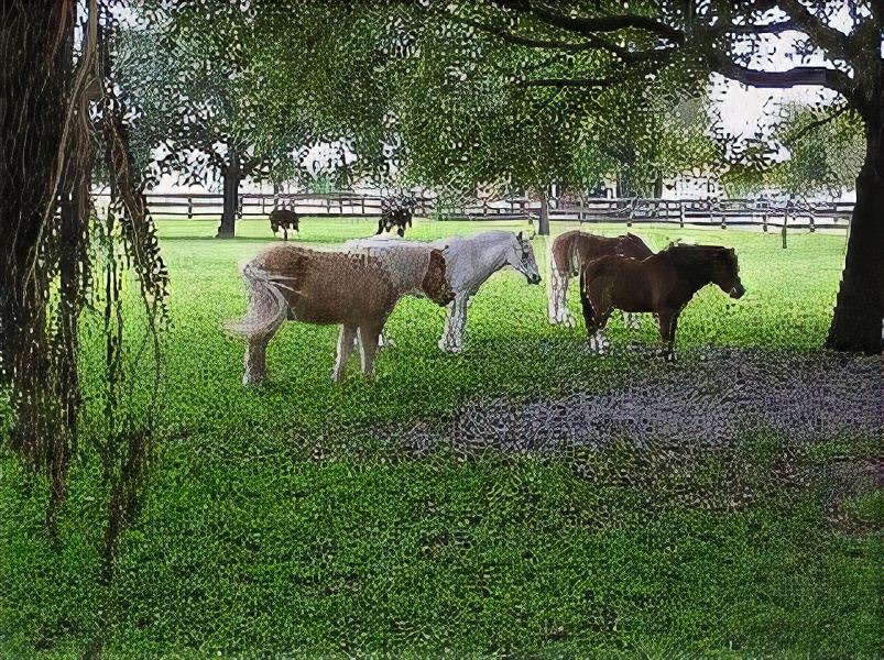 Photo of Others in Ocala