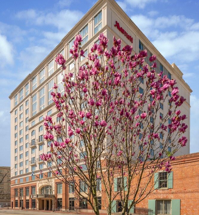 Photo of Buildings in Arts/Warehouse District