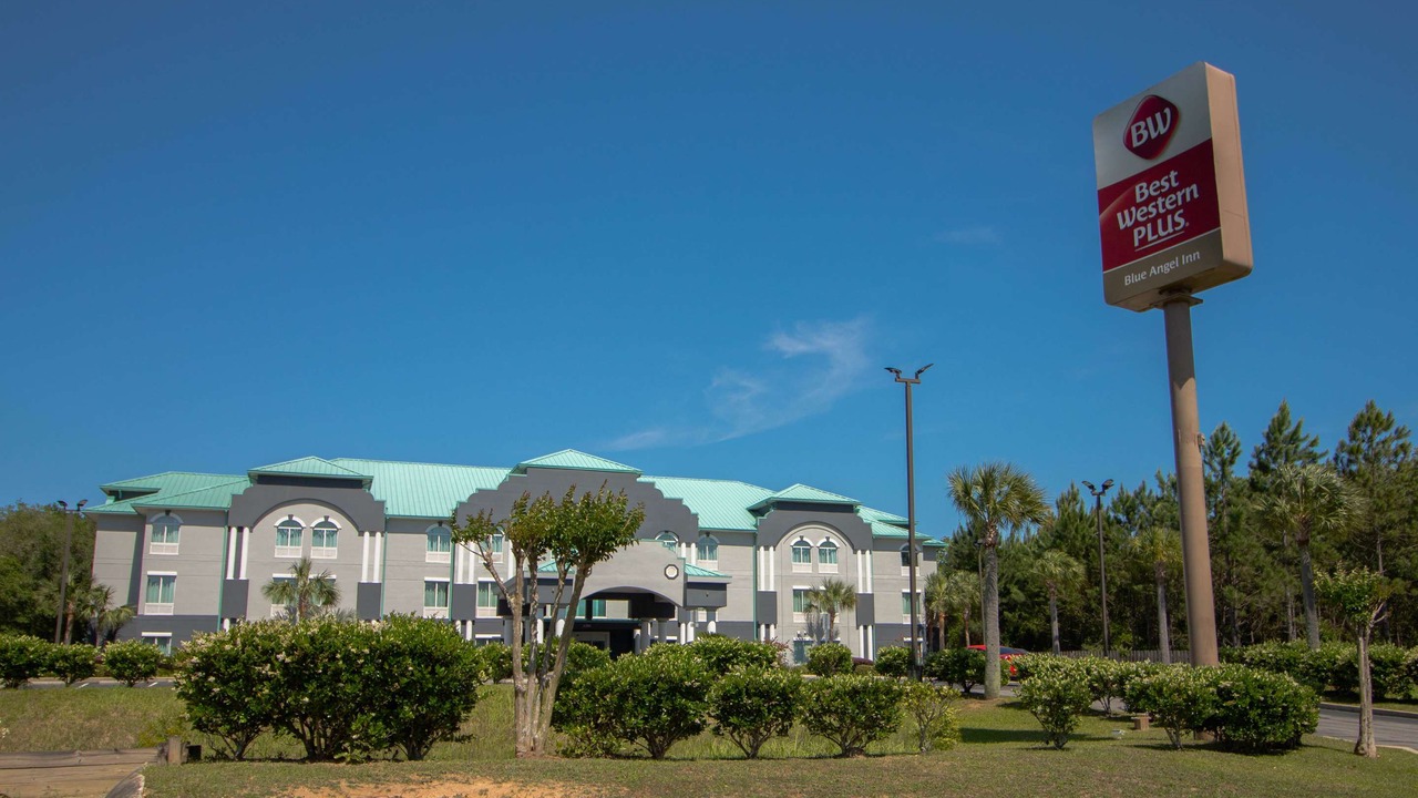 Photo of Buildings in Pine Forest