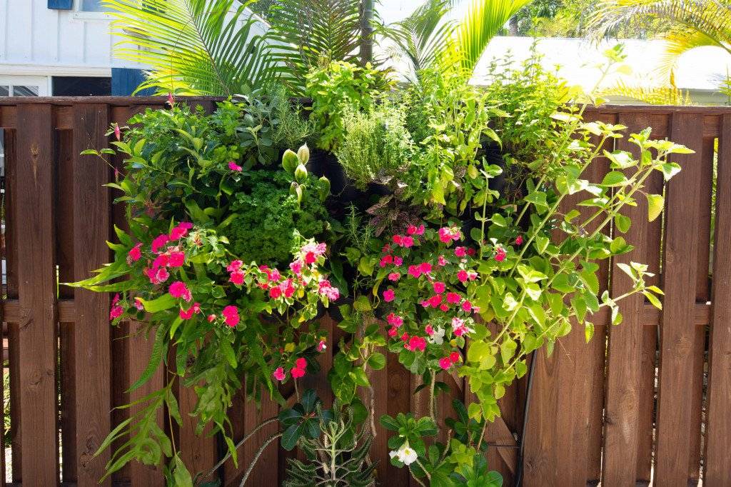 Photo of Patio Balcony in Key West Historic District
