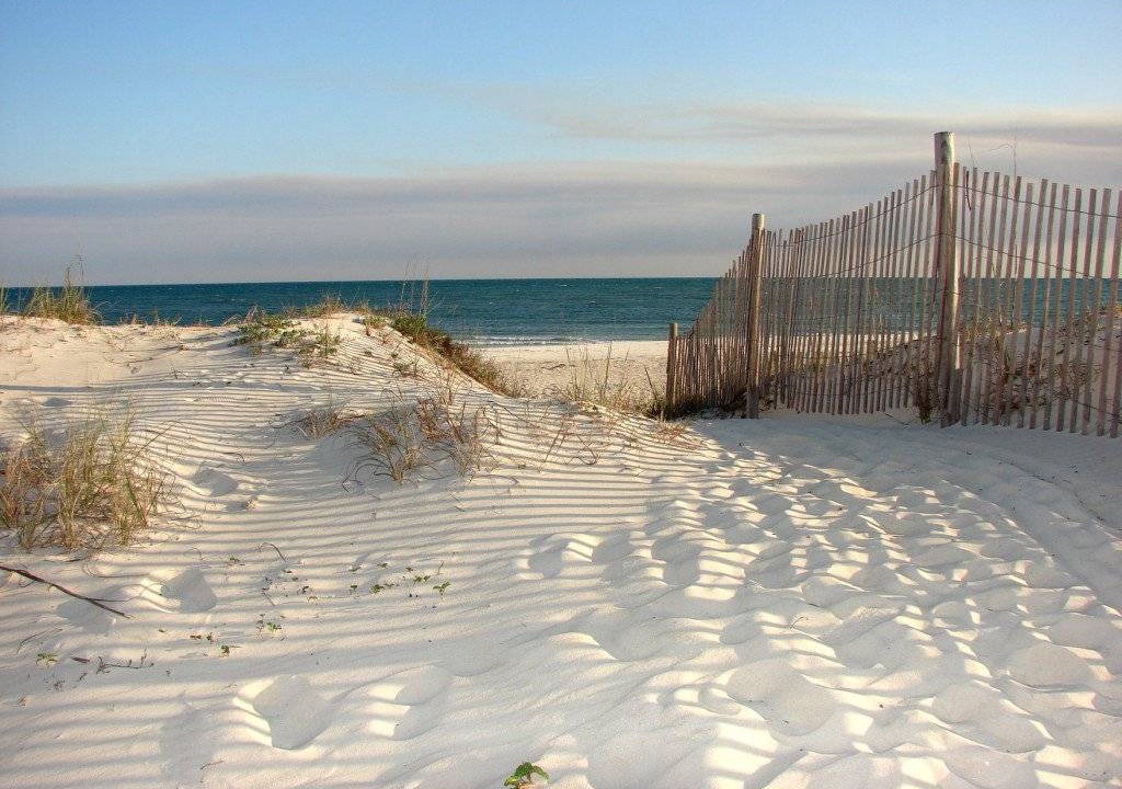Photo of Others in St. George Island