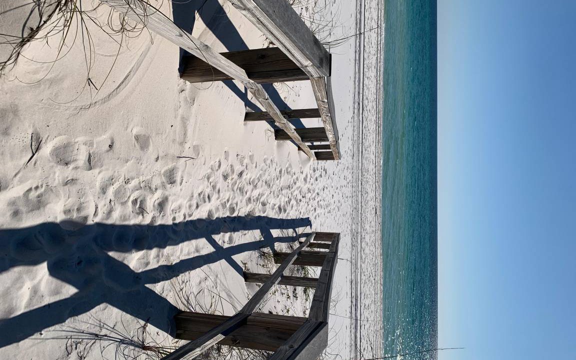 Photo of Others in White Sands