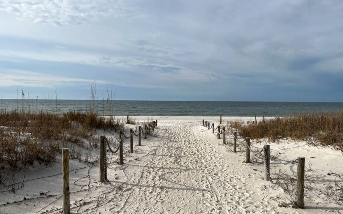 Photo of Others in Mexico Beach