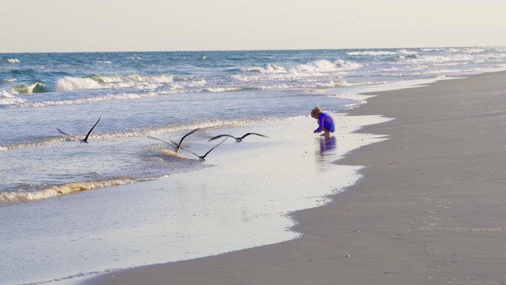 Photo of Others in St. George Island