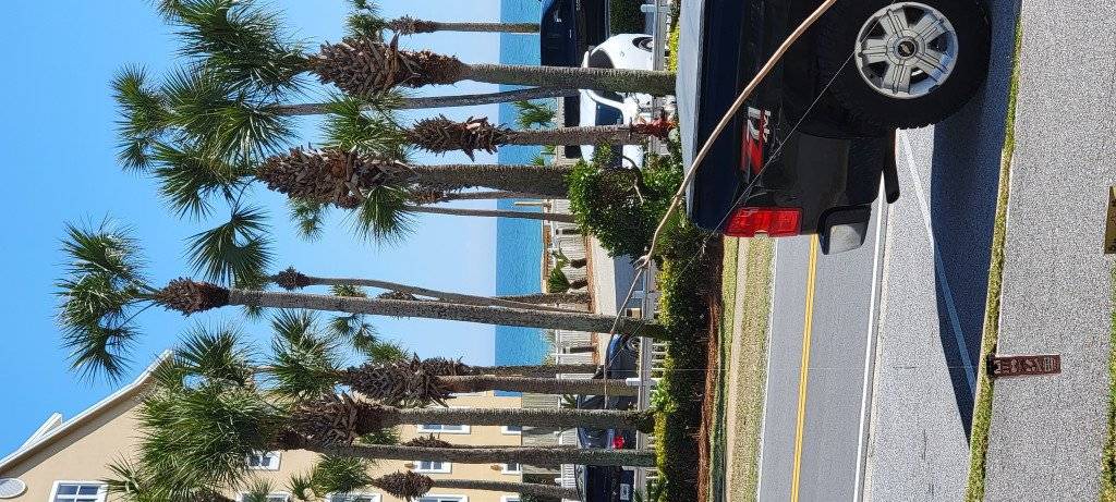 Photo of Others in Crystal Beach