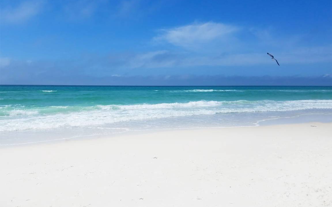 Photo of Others in El Centro Beach