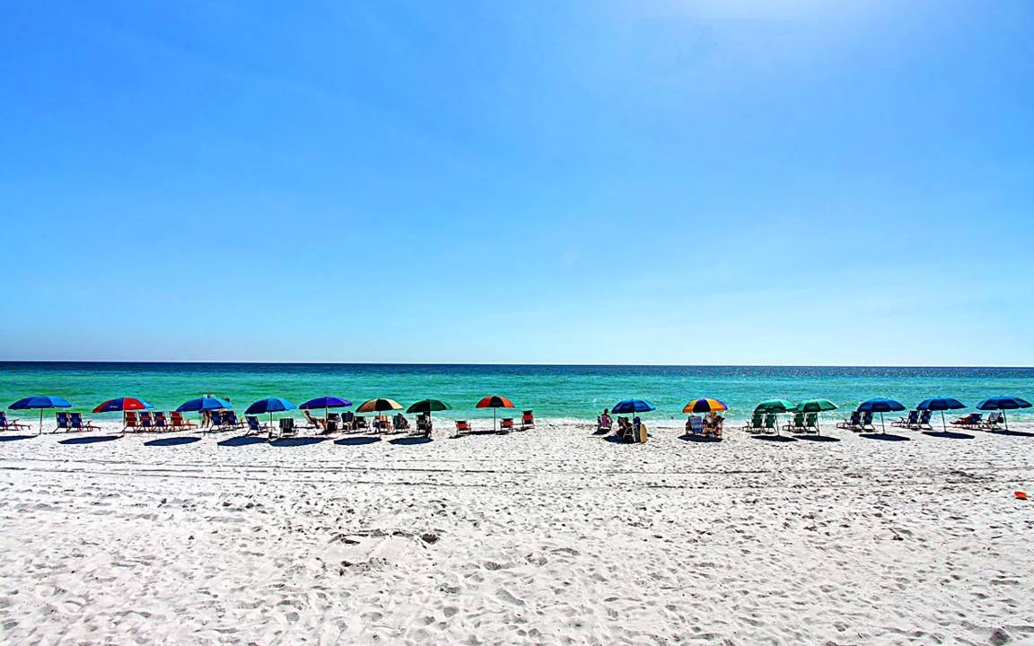Photo of Others in Holiday Isle