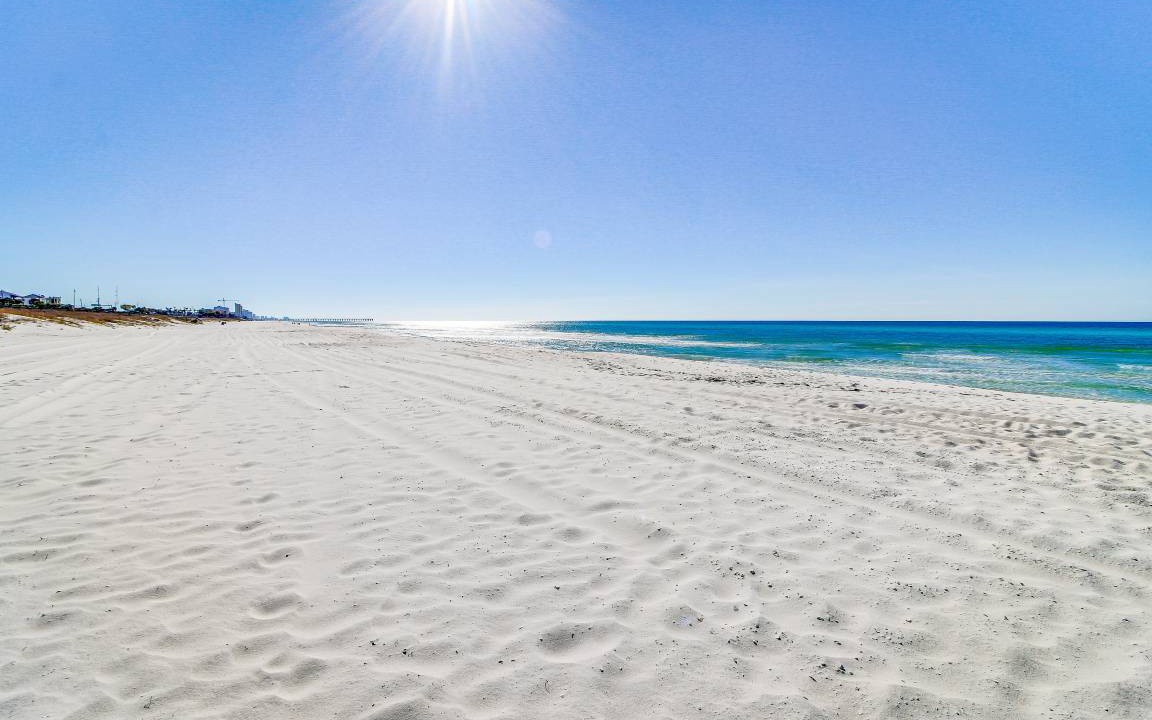 Photo of Others in Laguna Beach