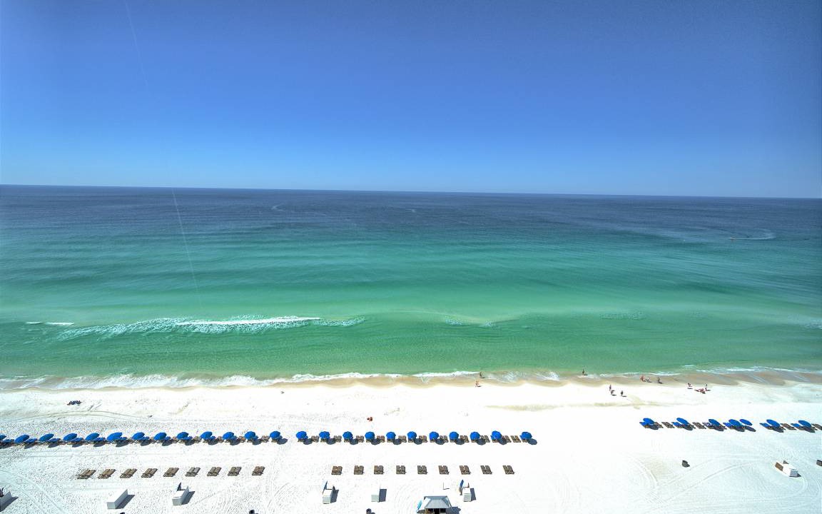 Photo of Others in Panama City Beach
