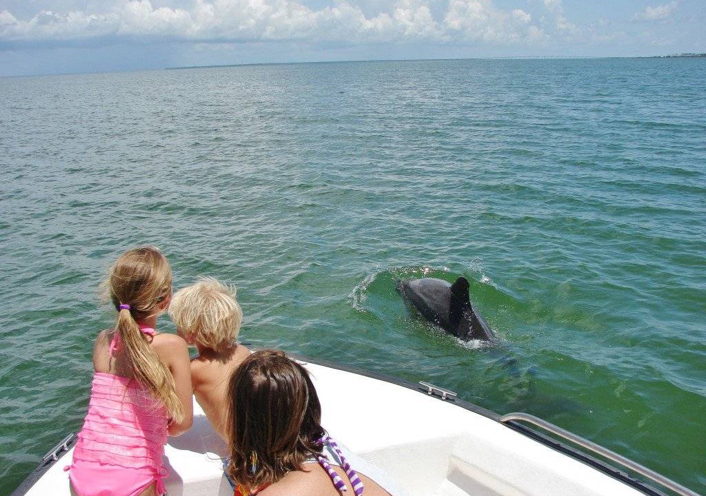 Photo of Others in St. George Island
