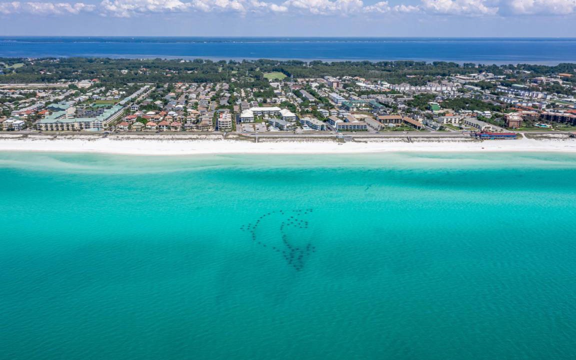 Photo of Others in Miramar Beach
