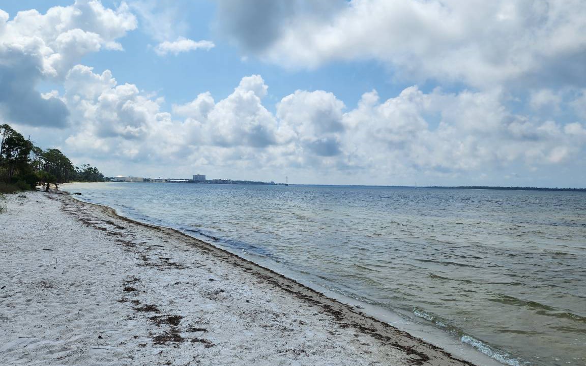 Photo of Others in Panama City